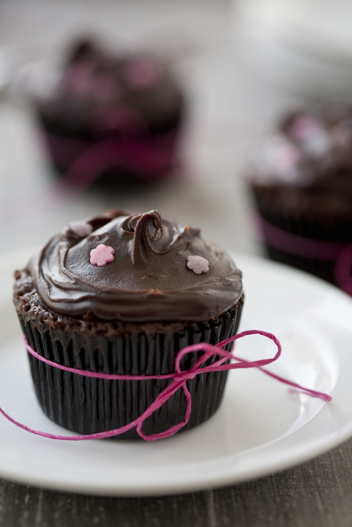 Dairy Free Chocolate Cupcakes
 FREE CUPCAKES