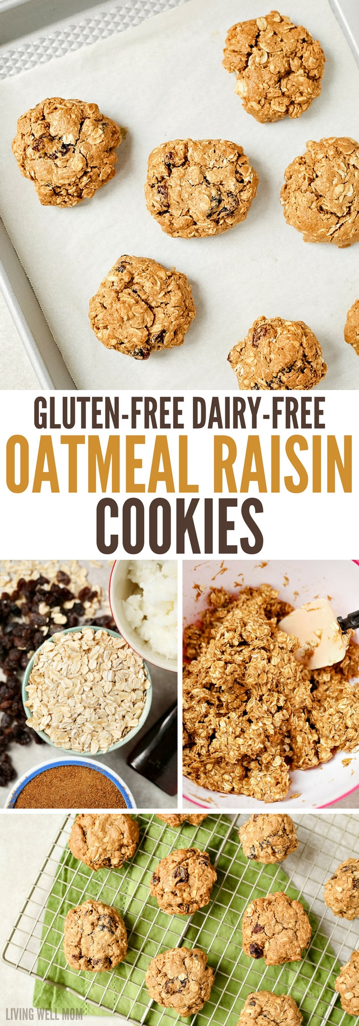 Dairy Free Cookie Recipes
 Gluten Free Dairy Free Oatmeal Raisin Cookies