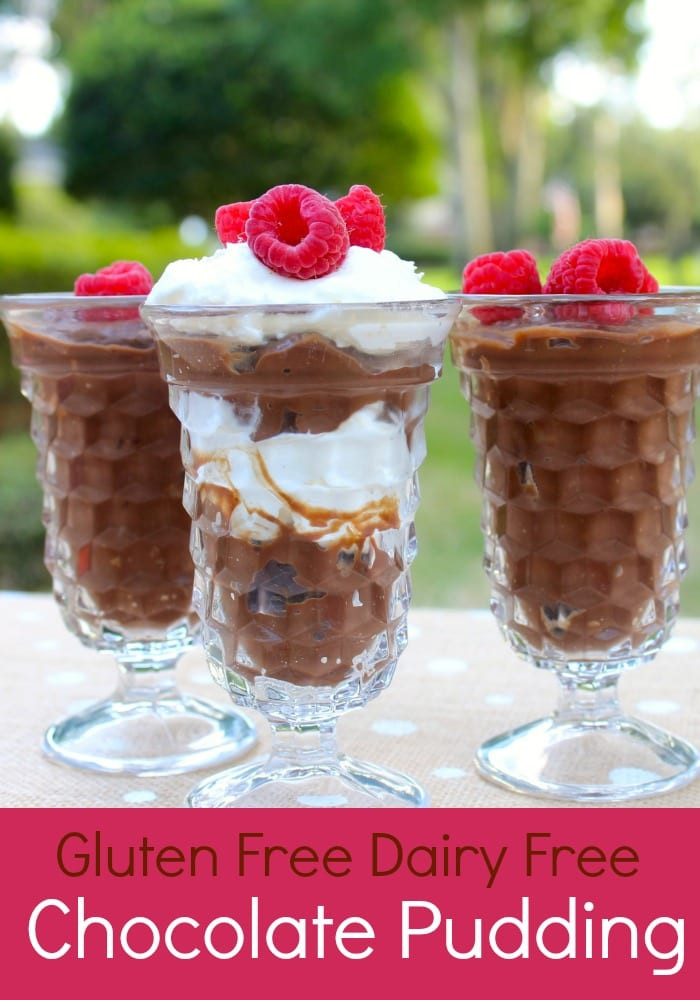 Dairy Free Desserts To Buy
 Dairy Free Chocolate Pudding The Happy Housewife™ Cooking