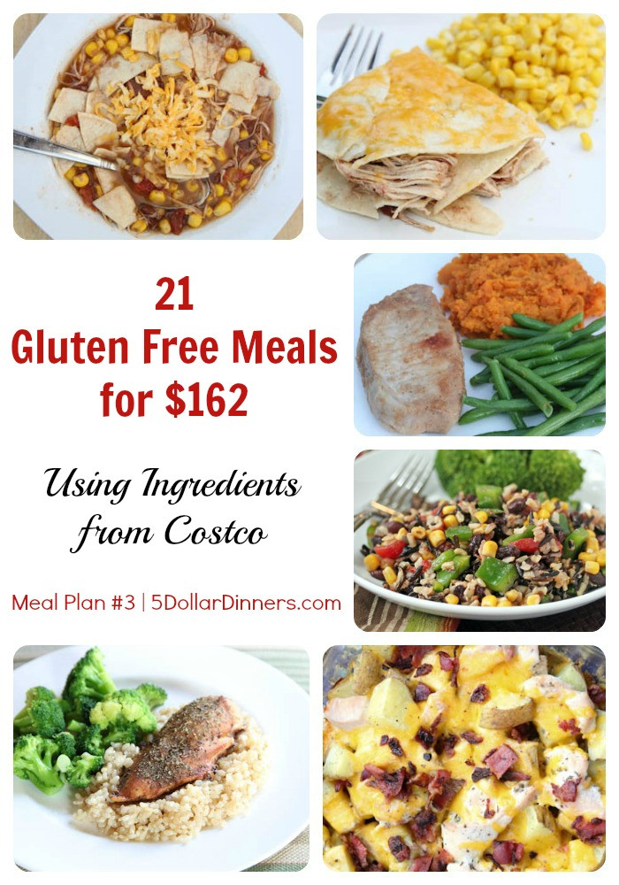 Dairy Free Dinners
 How to Make 21 Gluten Free Meals for $162