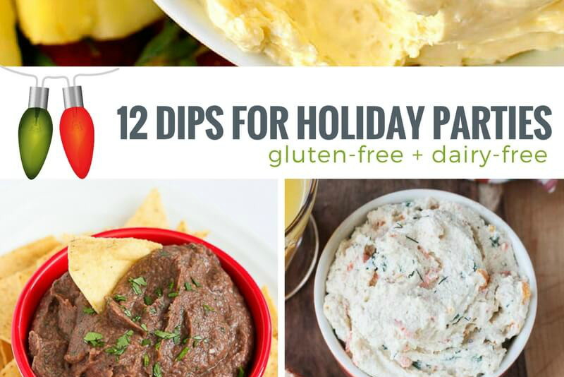 Dairy Free Dip Recipes
 12 Delicious Dairy free Dip Recipes for Holiday Parties