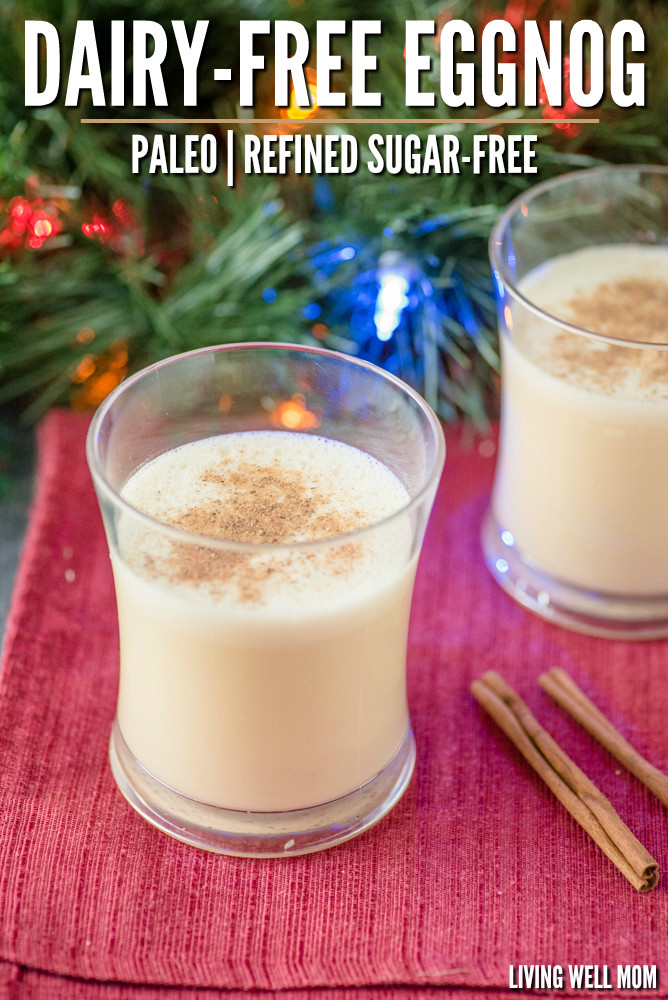 Dairy Free Eggnog Brands Dairy Free Eggnog