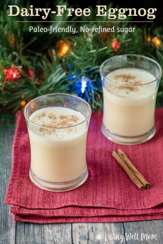 Dairy Free Eggnog Brands Dairy Free Eggnog