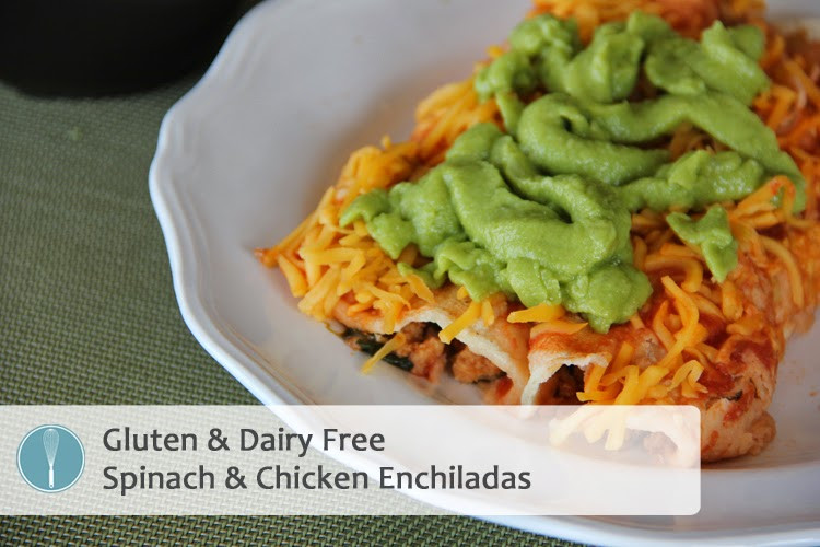 Dairy Free Enchiladas
 Gluten & Dairy Free Spinach and Chicken Enchiladas