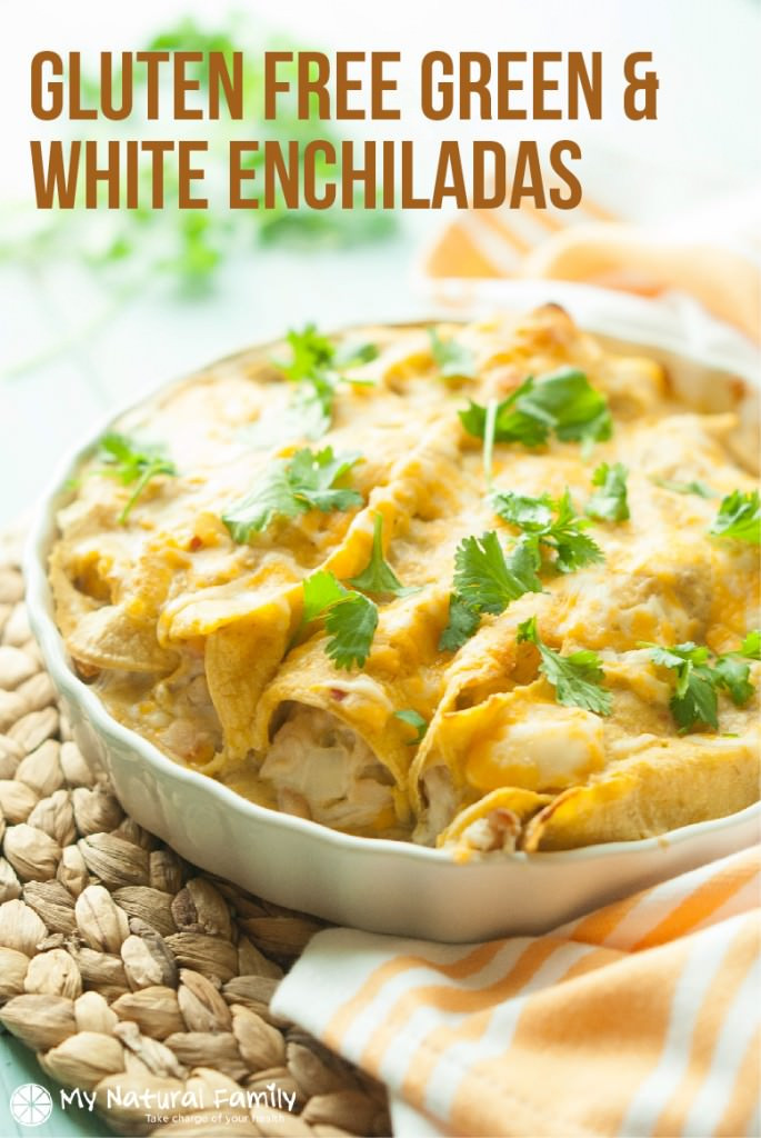 Dairy Free Enchiladas
 Gluten Free Chicken Enchiladas Recipe