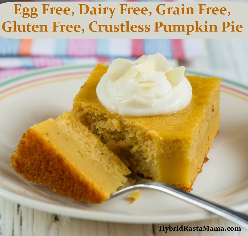 Dairy Free Gluten Free Pumpkin Pie
 Crustless Pumpkin Pie Egg Free Dairy Free Grain Free
