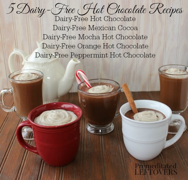 Dairy Free Hot Chocolate
 Dairy Free Hot Chocolate Recipe with 4 Delicious Variations