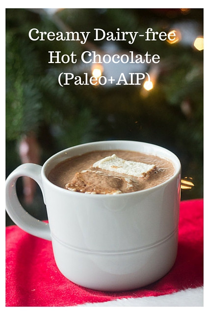 Dairy Free Hot Chocolate
 Creamy Dairy free Hot Chocolate Paleo with AIP option