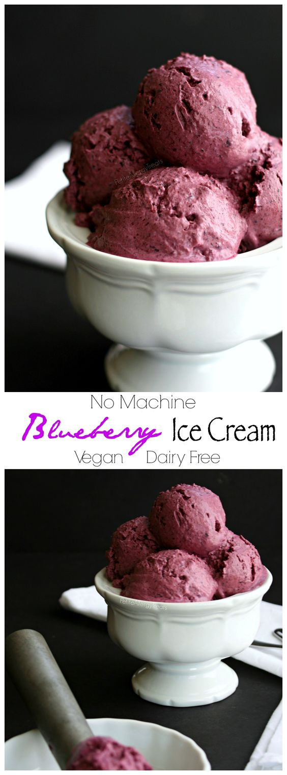 Dairy Free Ice Cream Maker Recipes
 Ice cream recipes Dairy and Vegan blueberry on Pinterest