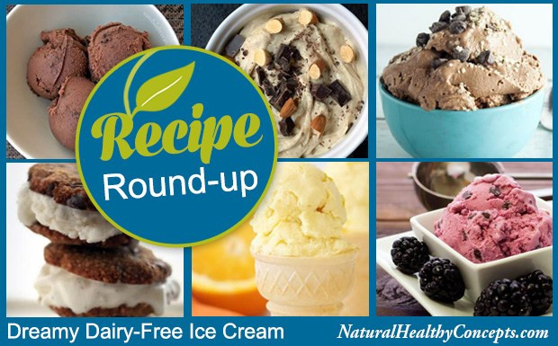 Dairy Free Ice Cream Recipes
 6 Dairy Free Ice Cream Recipes Healthy Concepts with a