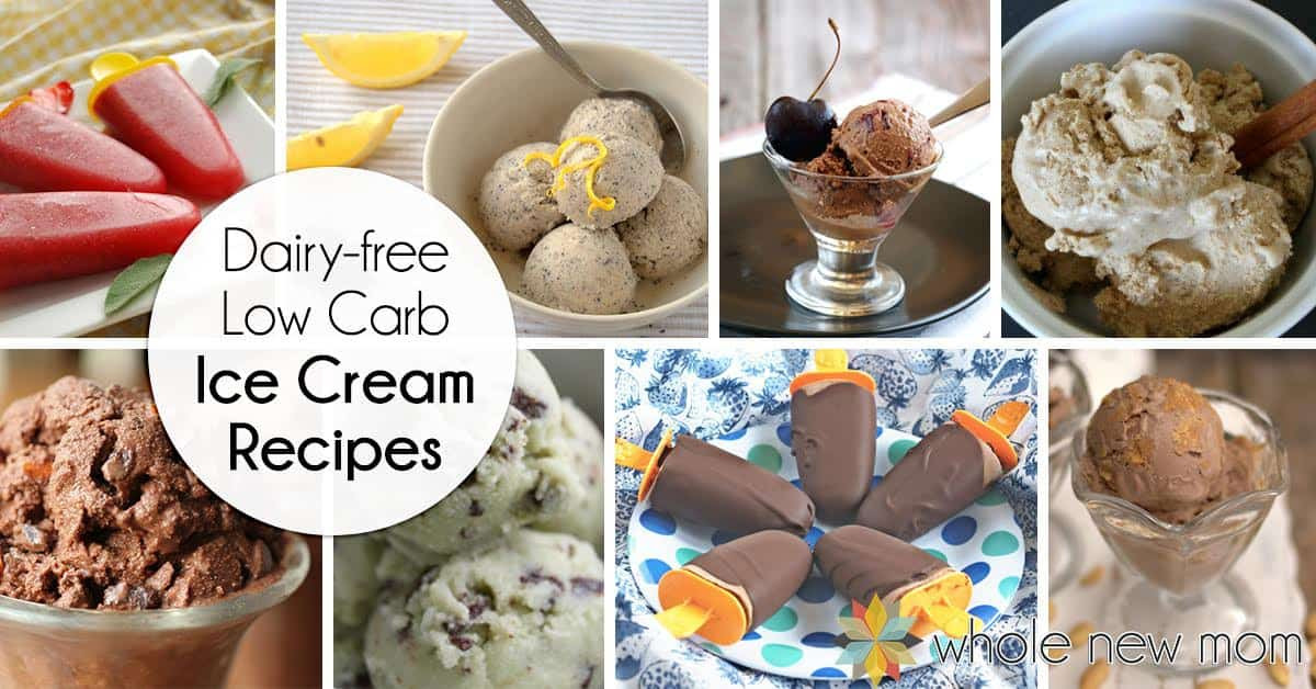 Dairy Free Ice Cream Recipes
 Dairy Free Low Carb Ice Cream Recipes Vegan Ice Cream
