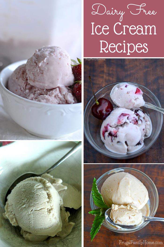 Dairy Free Ice Cream Recipes
 Homemade Dairy Free Ice Cream Recipes