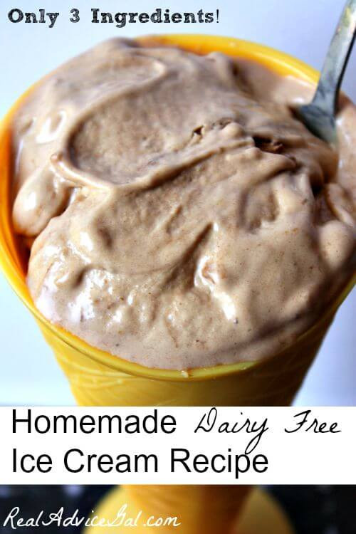 Dairy Free Ice Cream Recipes
 Homemade Dairy Free Ice Cream Recipe