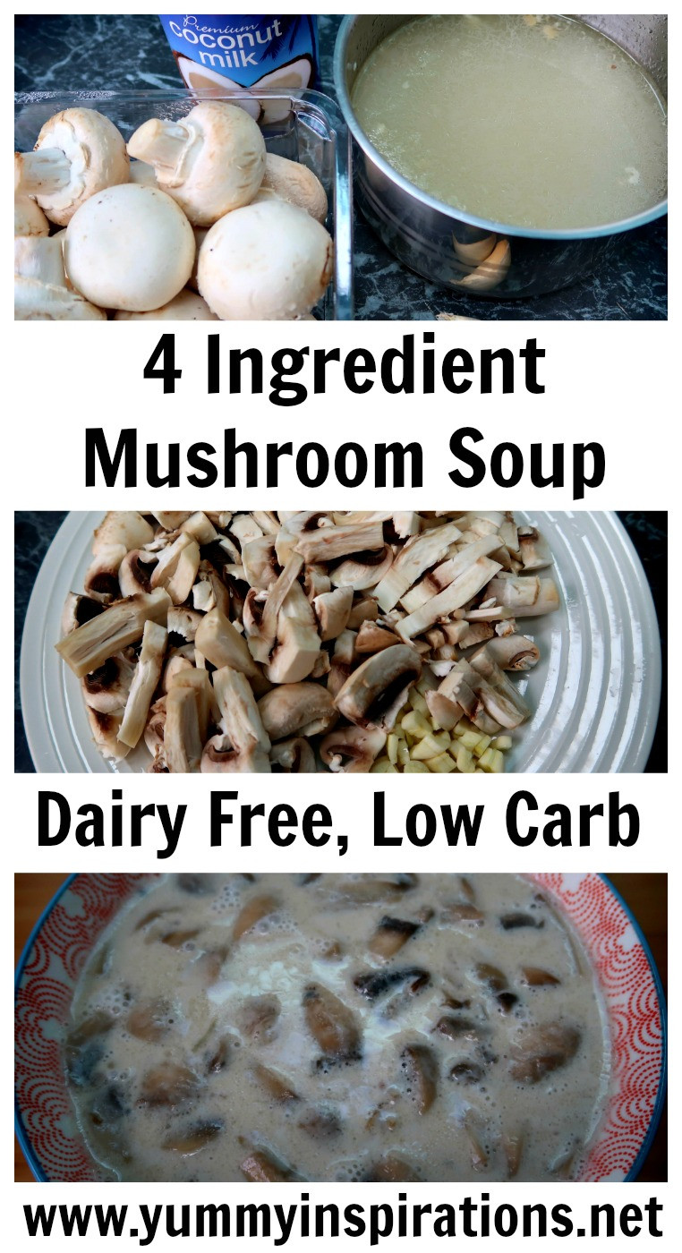 Dairy Free Keto Diet
 4 Ingre nt Mushroom Soup Recipe Dairy Free Low Carb