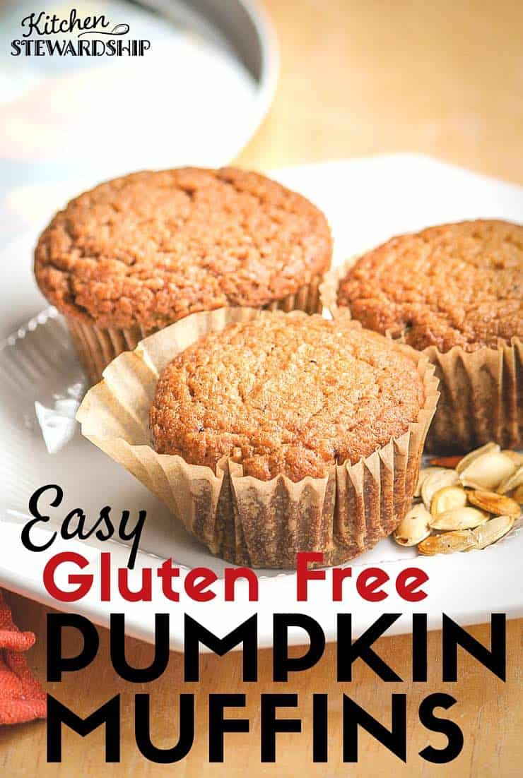 Dairy Free Muffin Recipes
 Easy Gluten Free Pumpkin Muffins Allergen free