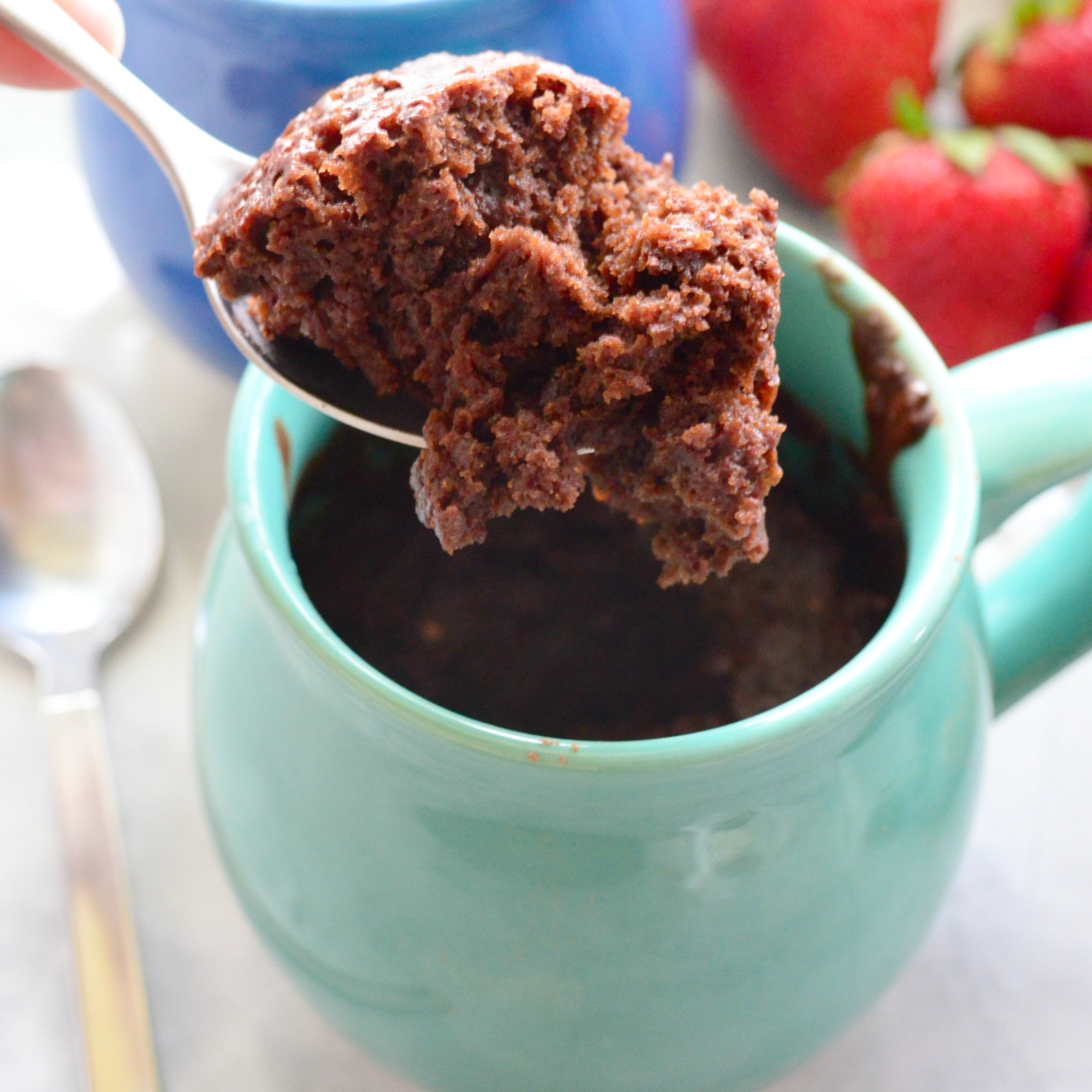 Dairy Free Mug Cake
 Dairy Free Chocolate Mug Cake Katie s Cucina