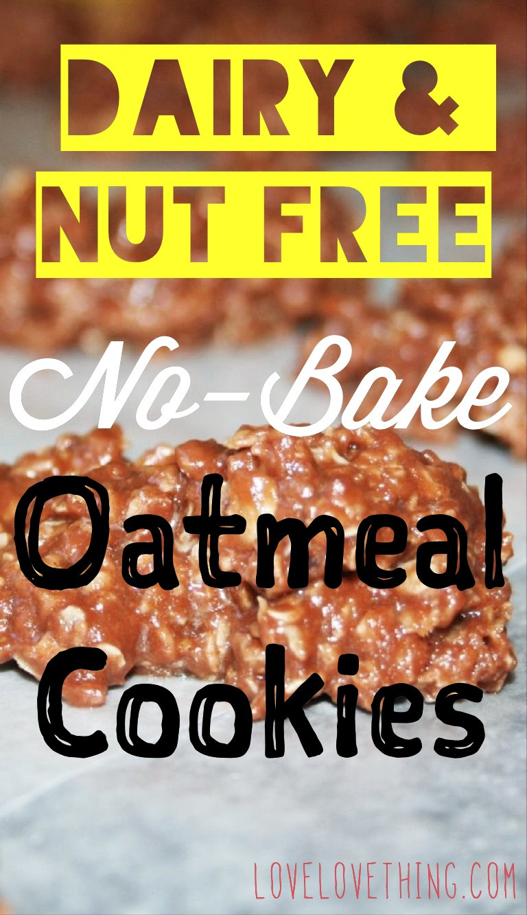 Dairy Free No Bake Cookies
 Dairy and Nut Free No Bake Oatmeal Cookies Homegrown in