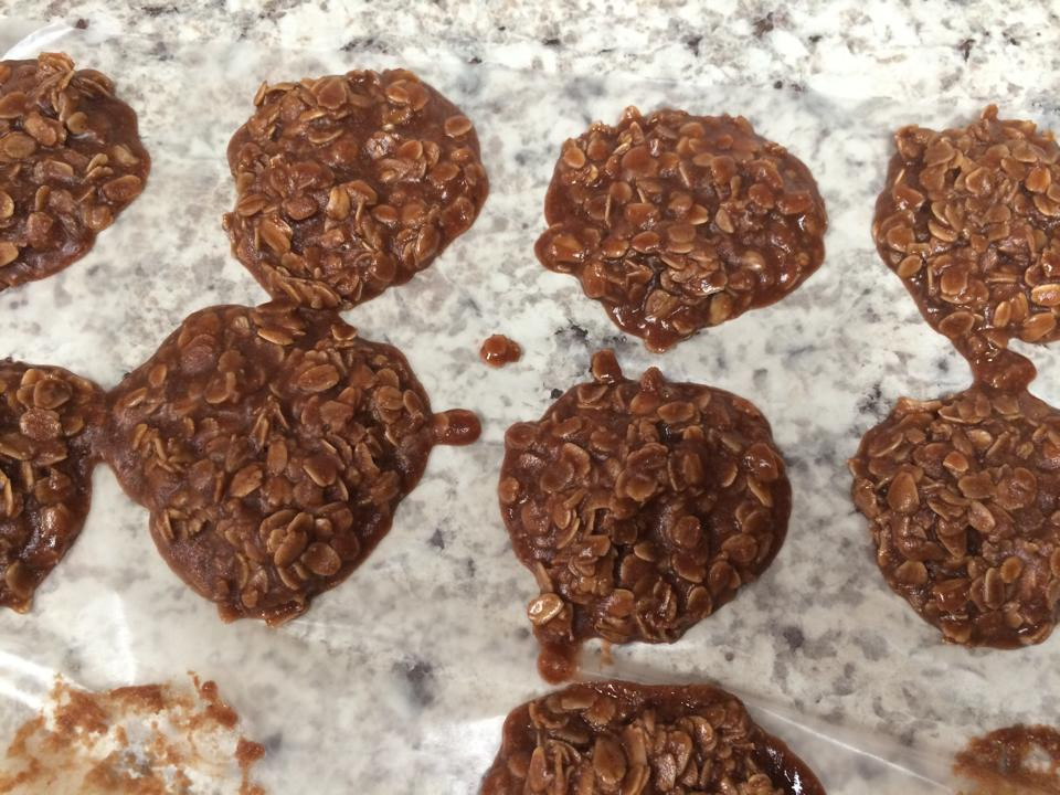 Dairy Free No Bake Cookies
 No Bake Chocolate Cookies Gluten Free Dairy Free Nut