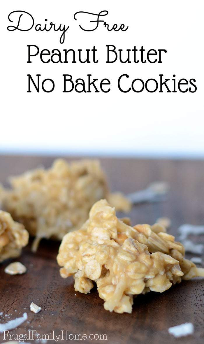 Dairy Free No Bake Cookies
 Dairy Free Peanut Butter No Bake Cookies