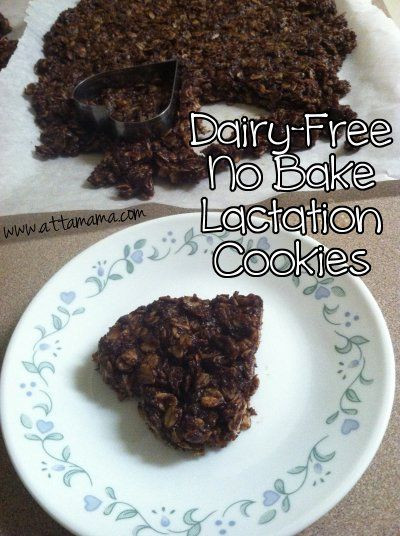 Dairy Free No Bake Cookies
 dairy free no bake lactation cookies heart