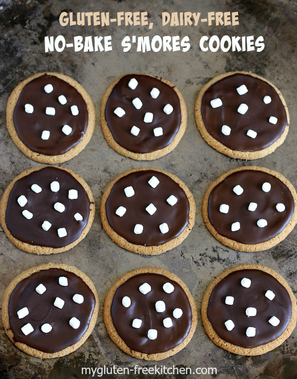 Dairy Free No Bake Cookies
 No Bake S mores Cookies Recipe Gluten free