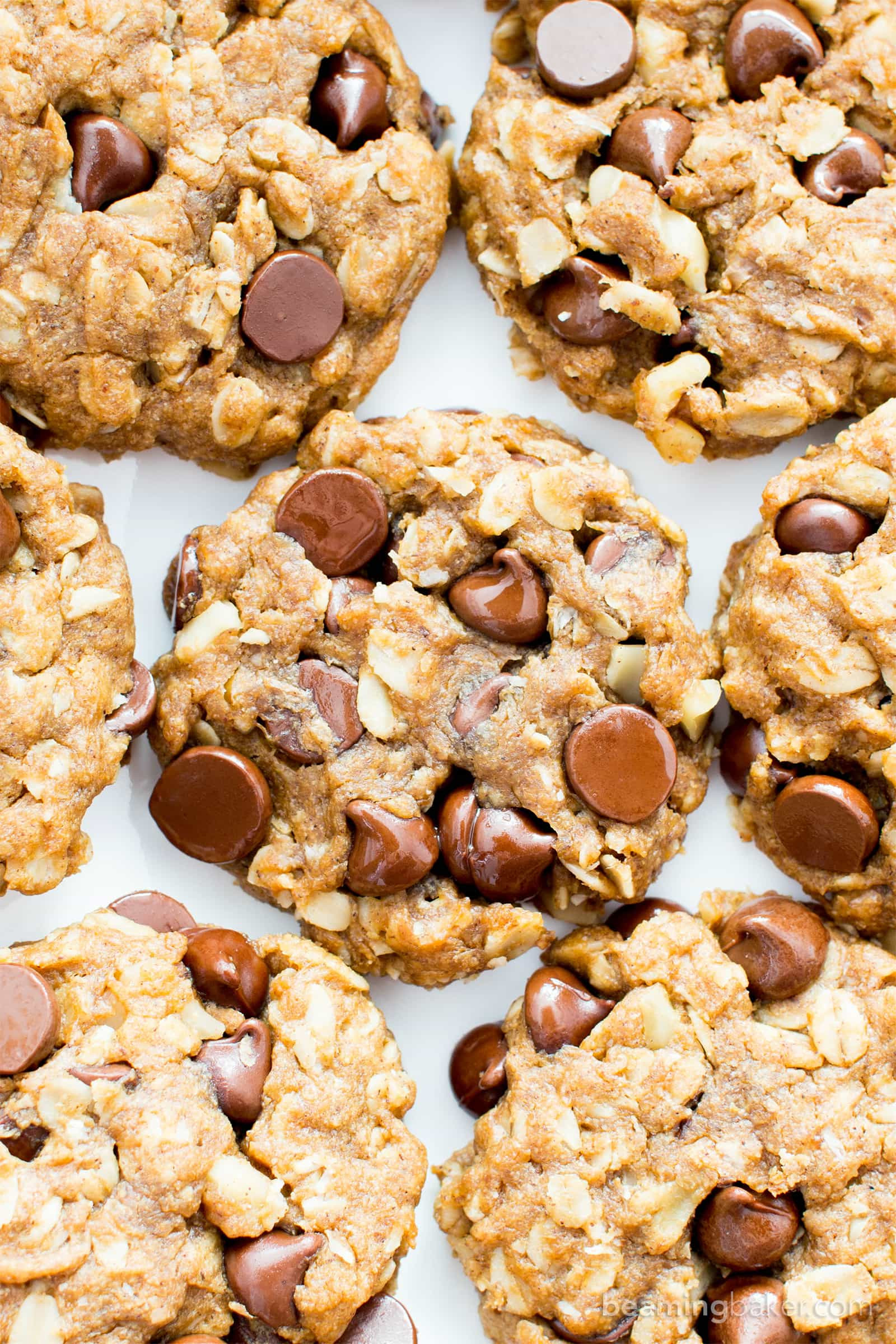 Dairy Free Oatmeal Chocolate Chip Cookies
 Easy Gluten Free Peanut Butter Chocolate Chip Oatmeal