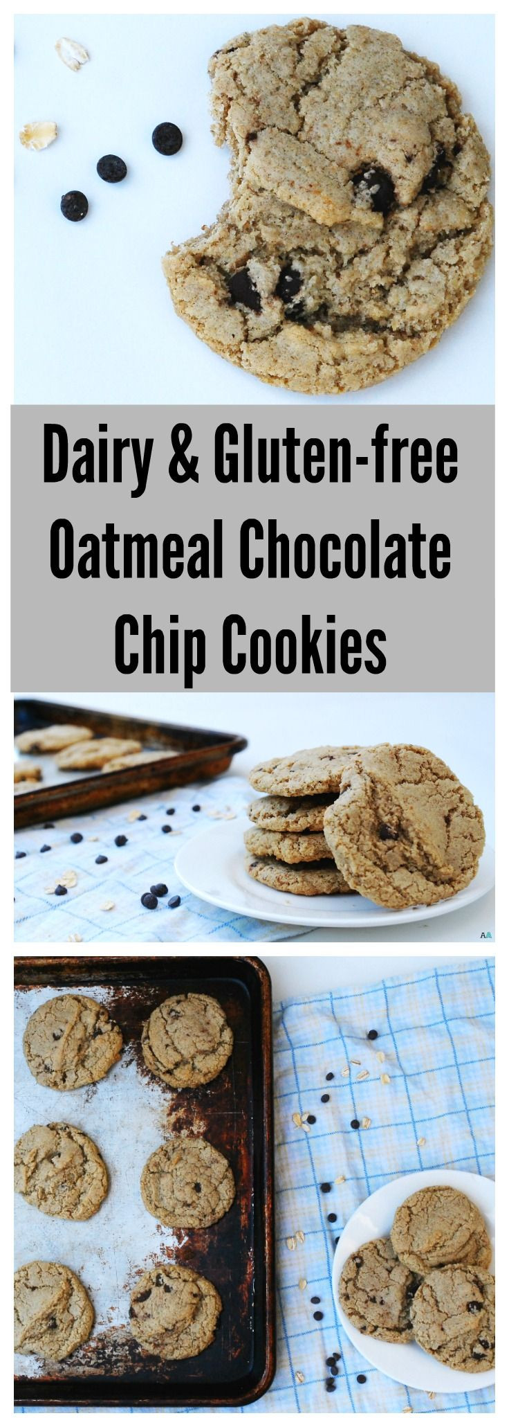 Dairy Free Oatmeal Chocolate Chip Cookies
 Oatmeal Chocolate Chip Cookies GF DF Soy & Peanut Nut