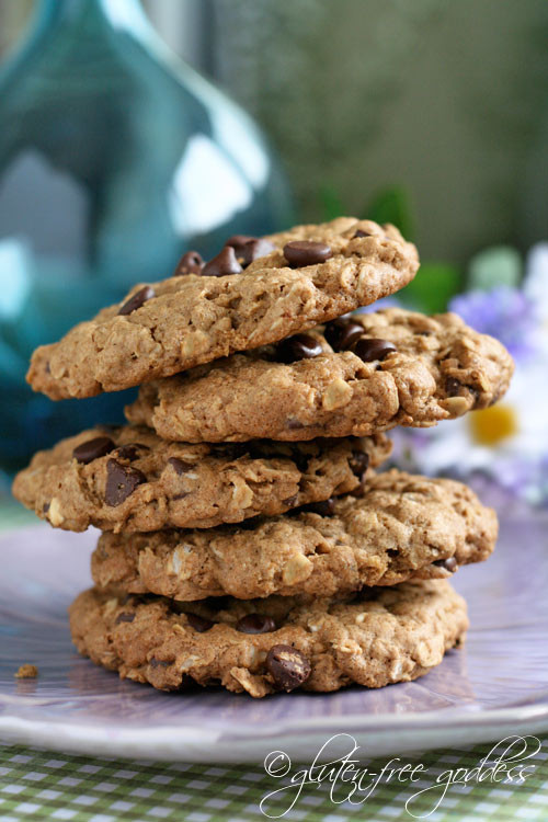 Dairy Free Oatmeal Chocolate Chip Cookies
 Over 60 Gluten Free Oatmeal Cookie Recipes
