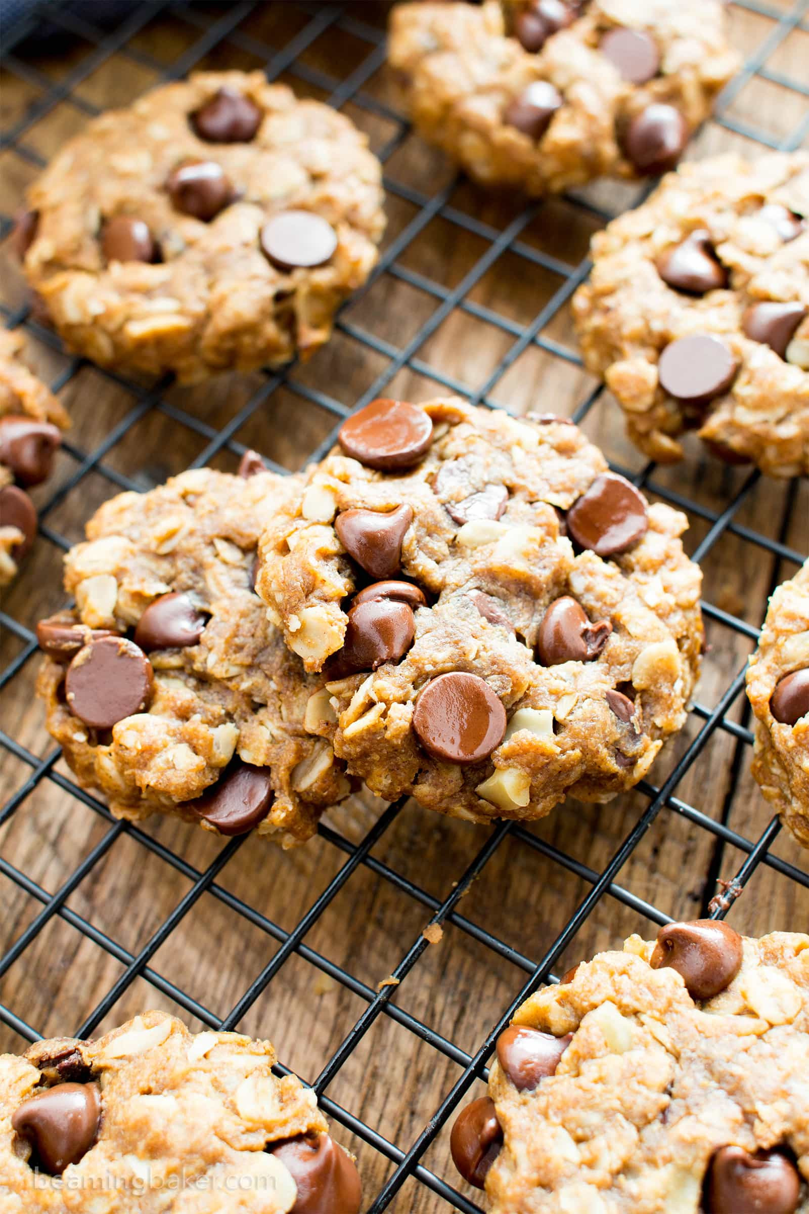Dairy Free Peanut Butter Cookies
 Easy Gluten Free Peanut Butter Chocolate Chip Oatmeal
