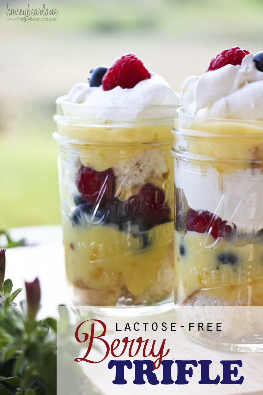 Dairy Free Pudding Recipes
 Lactose Free Berry Trifle HoneyBear Lane