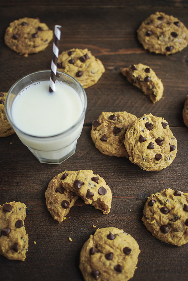 Dairy Free Pumpkin Cookies
 Dairy Free Pumpkin Chocolate Chip Cookies Katie Cakes