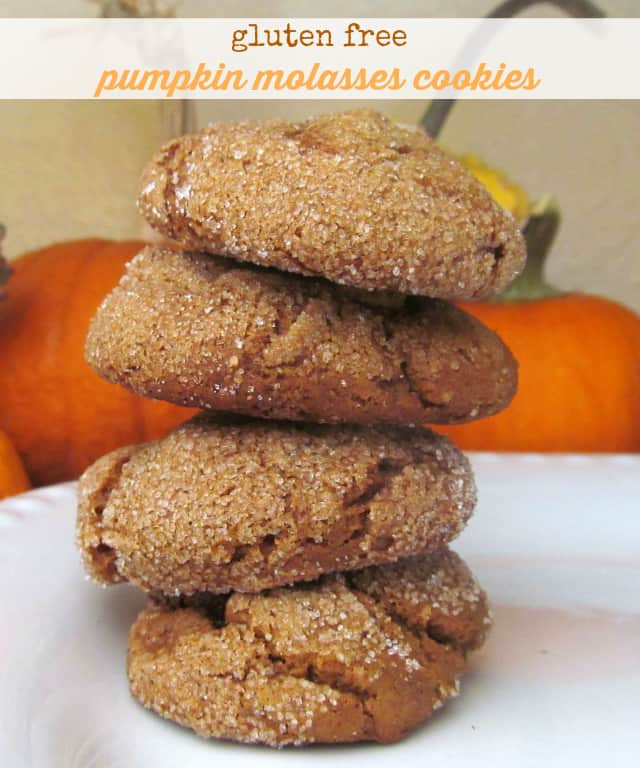 Dairy Free Pumpkin Cookies
 Gluten Free Pumpkin Molasses Cookies The Pretty Bee