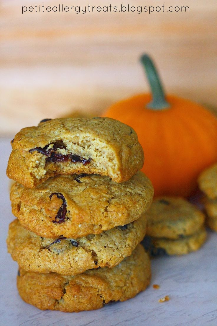 Dairy Free Pumpkin Cookies
 Gluten Free Pumpkin Raisin Cookies Dairy free Vegan Warm