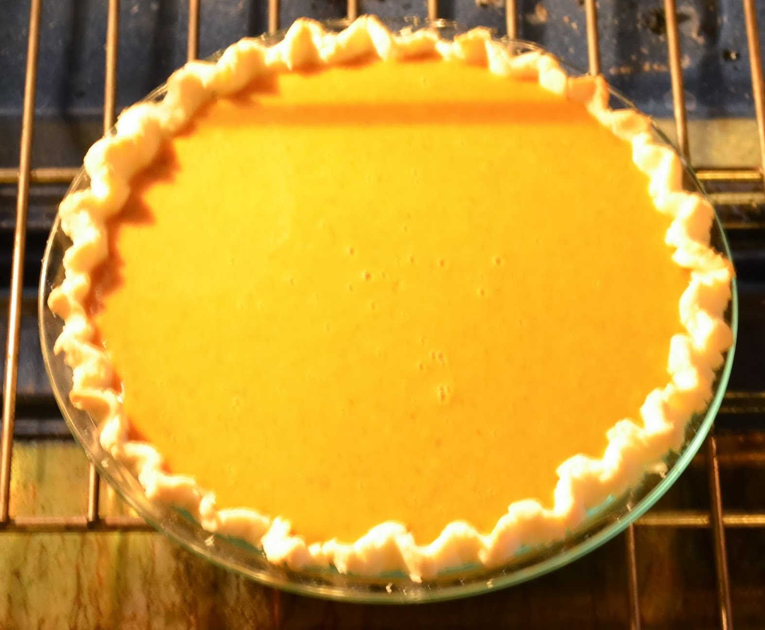 Dairy Free Pumpkin Pie
 Gluten Free Dairy Free Pumpkin Pie With Coconut Whip Cream