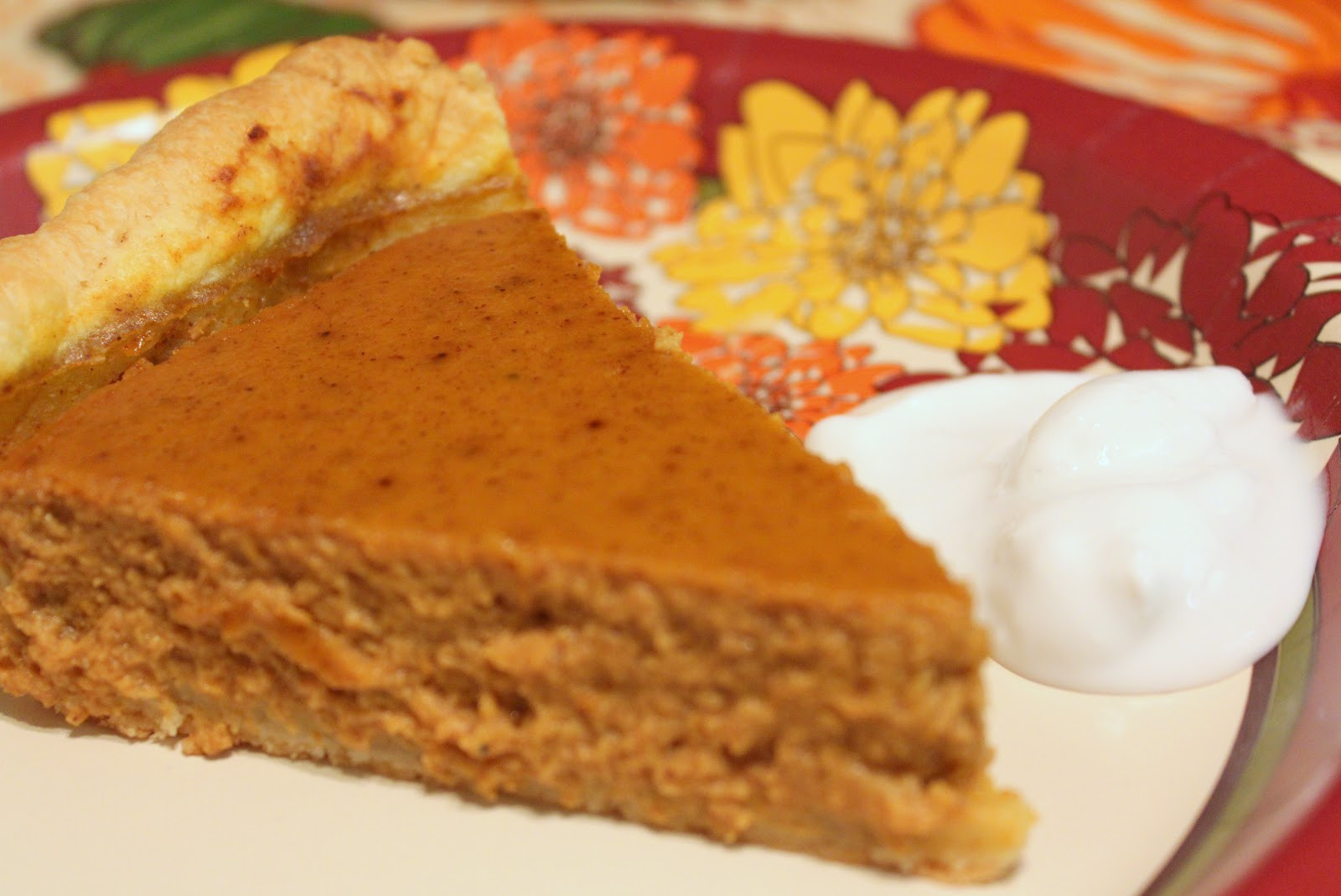 Dairy Free Pumpkin Pie Coconut Milk
 Busy Girl Recipes Coconut Milk Pumpkin Pie