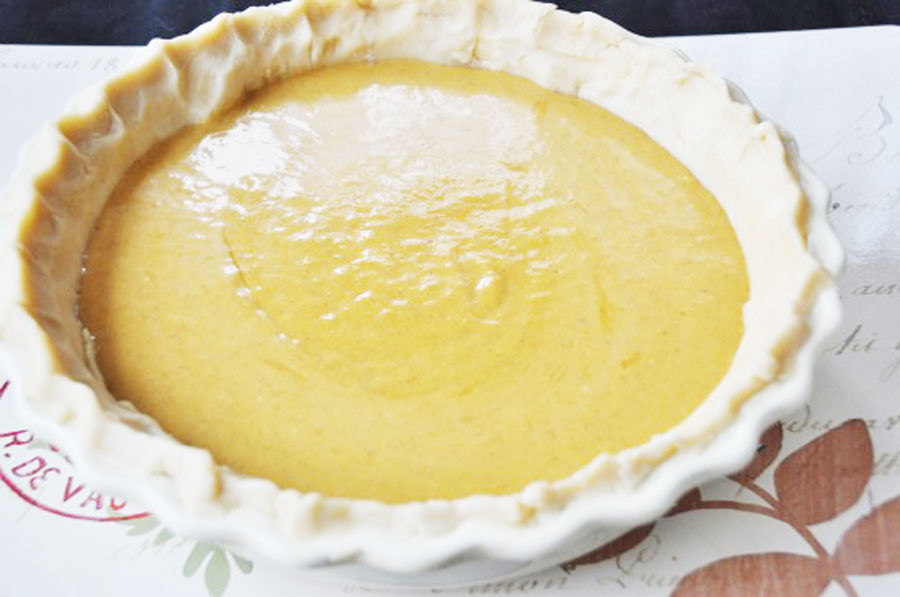 Dairy Free Pumpkin Pie Filling
 dairy and egg free pumpkin pie filling