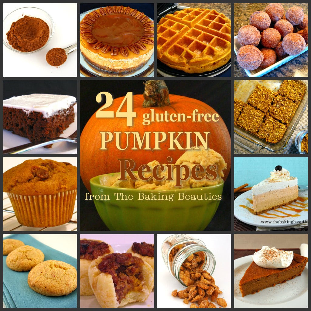 Dairy Free Pumpkin Recipes
 24 Gluten Free Pumpkin Recipes from The Baking Beauties