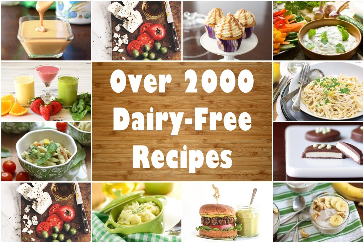 Dairy Free Recipes
 Dairy Free Recipes Over 2500 Meals Desserts Snacks & More