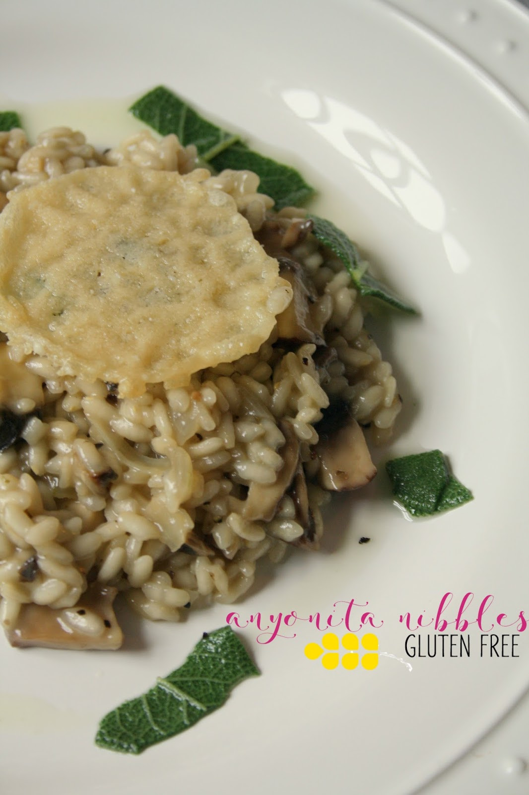 Dairy Free Risotto
 Anyonita Nibbles