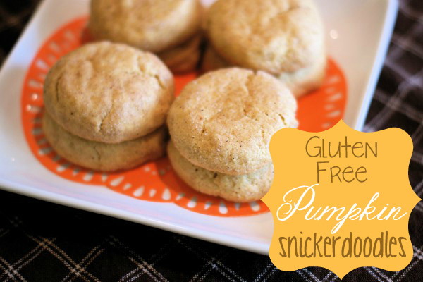 Dairy Free Snickerdoodles
 Gluten free pumpkin snickerdoodles Ask Anna