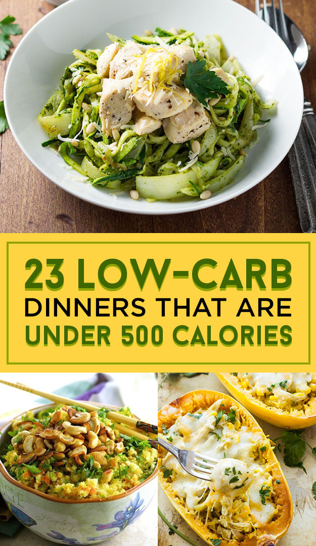 Delicious Low Calorie Dinners
 23 Low Carb Dinners Under 500 Calories That Actually Look