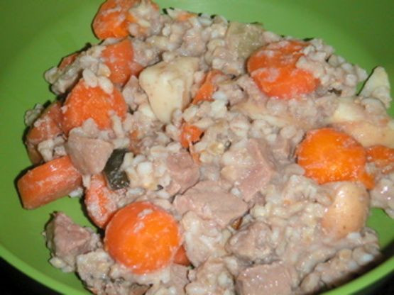 Diabetic Dog Food Recipes
 1000 ideas about Diabetic Dog Food on Pinterest