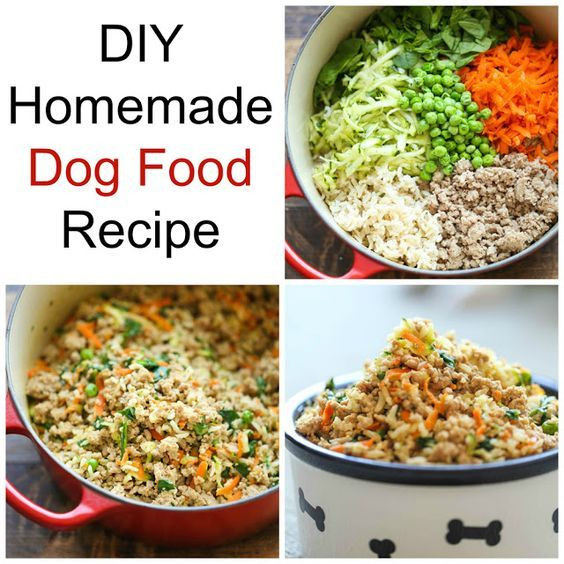 Diabetic Dog Food Recipes
 The 25 best Diabetic dog food ideas on Pinterest