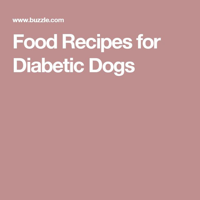 Diabetic Dog Food Recipes
 127 best images about Chomedy the City Dog living in the