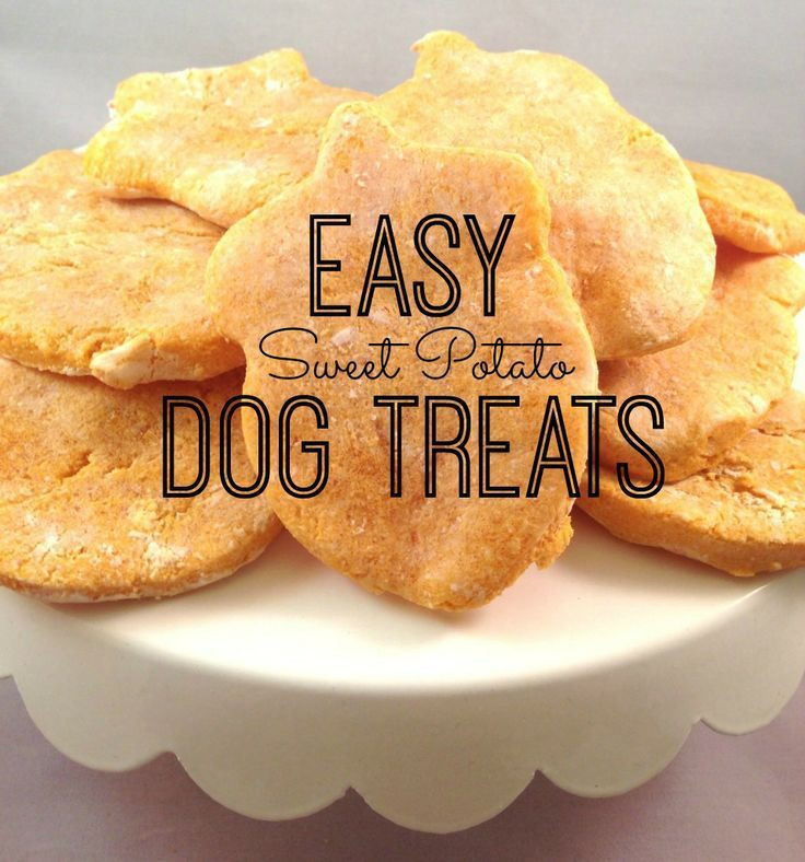 Diabetic Dog Treat Recipes
 Diabetic Dog Treat Recipes – Besto Blog