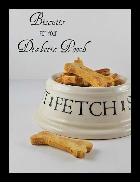 Diabetic Dog Treat Recipes
 30 Best images about Diabetic Dog Recipes on Pinterest