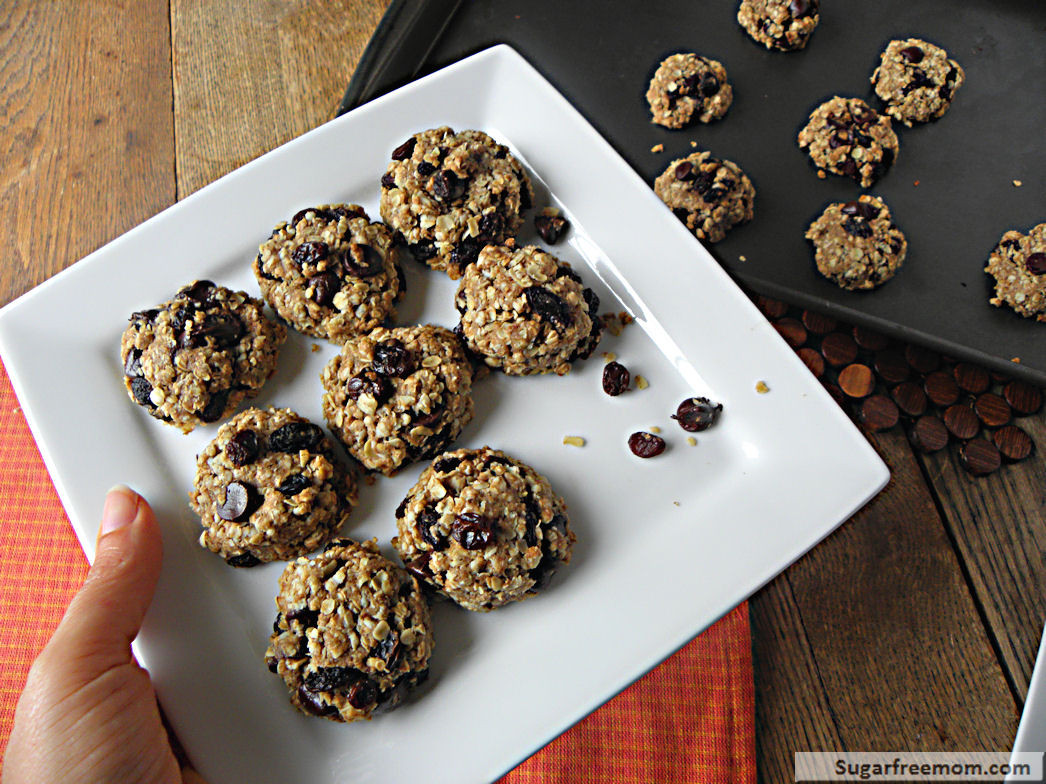 Diabetic Friendly Oatmeal Cookies
 diabetic oatmeal cookies with stevia