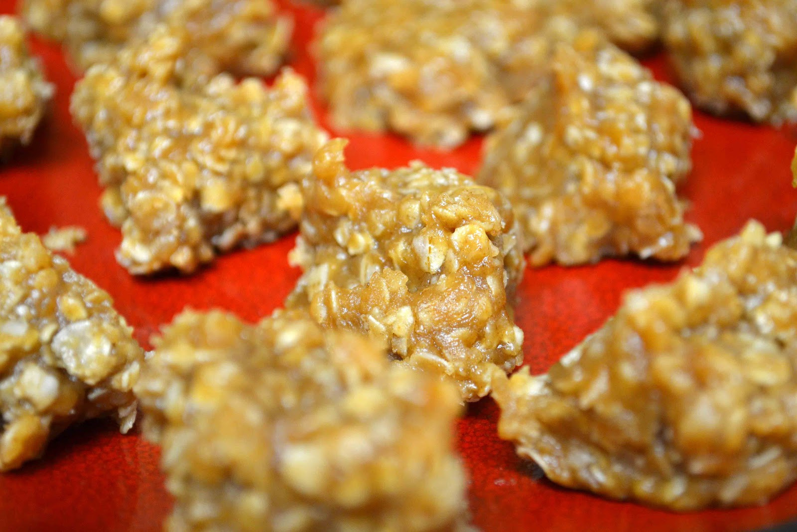 Diabetic No Bake Cookies
 Babblings and More Sugar Free Peanut Butter No Bake Cookies