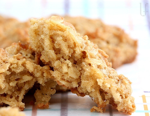 Diabetic Oatmeal Cookies With Splenda
 diabetic oatmeal cookies with splenda