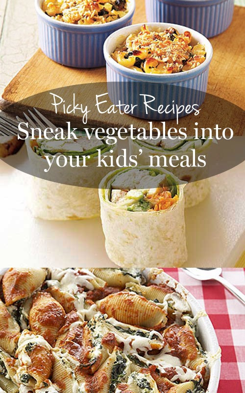 Diabetic Recipes For Picky Eaters
 371 best Recipes Healthy kid s food images on Pinterest